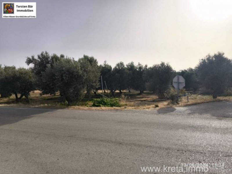 Timpaki Klima Kreta Timbaki außergewöhnliches Baugrundstück Meer- und Bergblick Grundstück kaufen